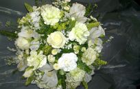 20120615006.jpg